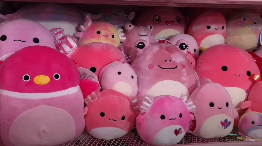 character of the squishmallow determines its price