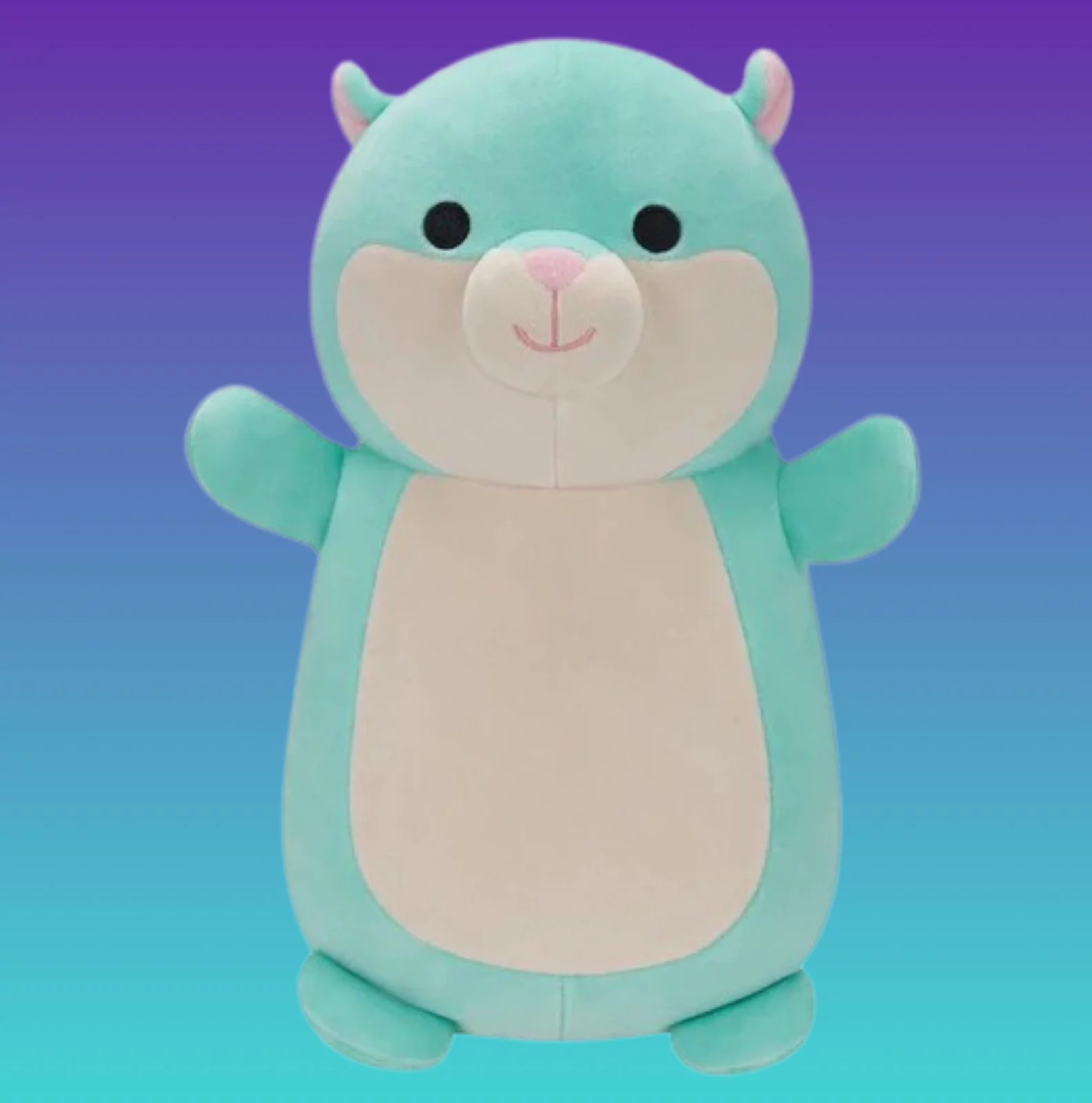 what is special about hug mees squishmallows