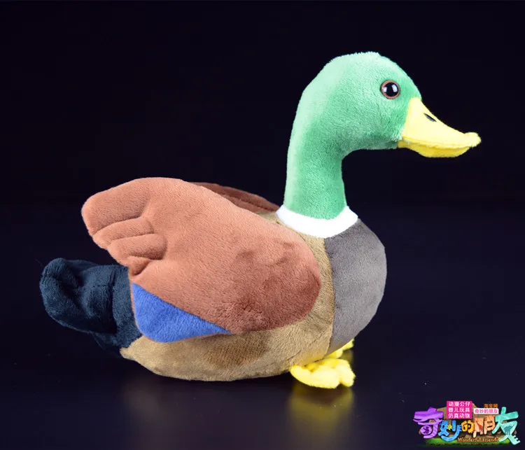 Realistic Mallard Duck Plush | Stuffed Animal Edition -5