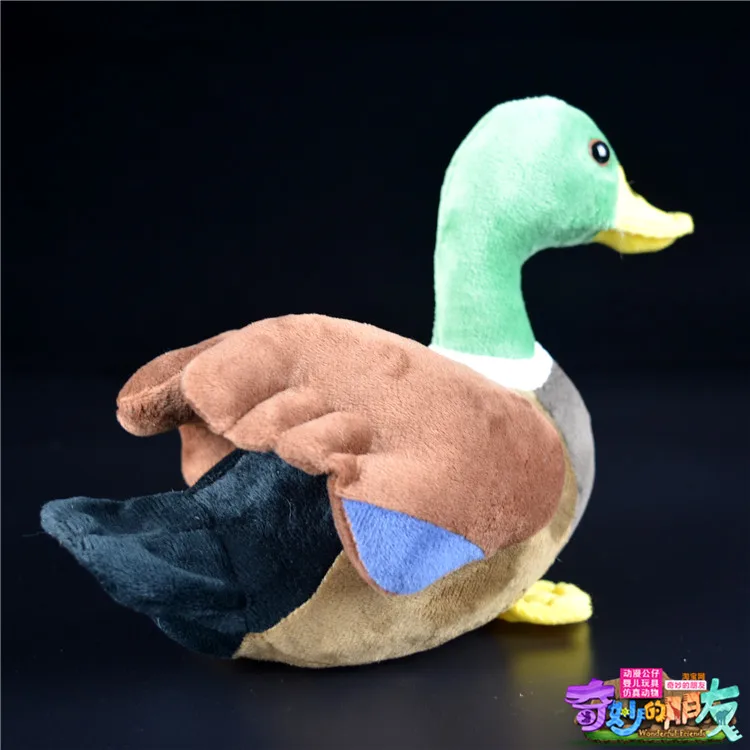 Realistic Mallard Duck Plush | Stuffed Animal Edition -6